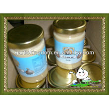 Canned of Fresh garlic paste, ginger&garlic paste, ginger paste